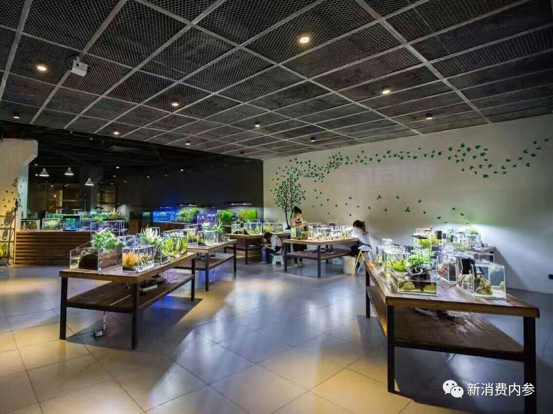 奇溢自然智能鱼缸,奇溢自然鱼缸怎么样