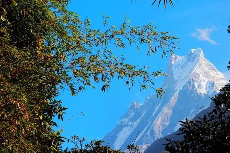 用双脚丈量山林,用双脚丈量冰川世界