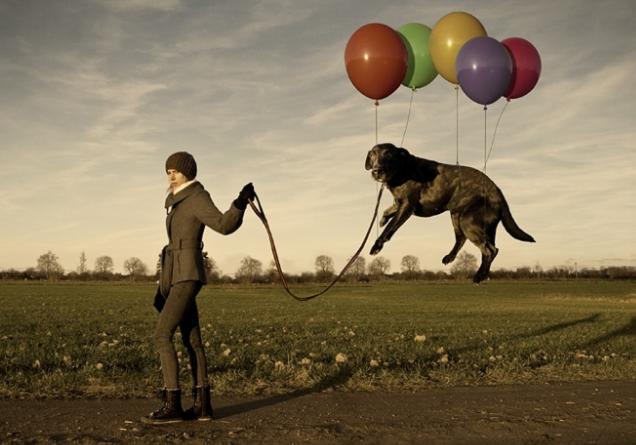 养狗之前请想好,养狗一定要知道的事