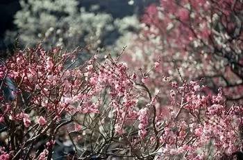 老公/男票要去这里拈花惹草,你居然不阻止还说好?!