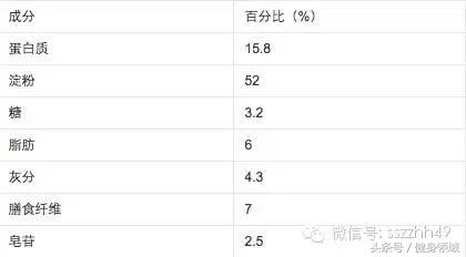 健身快速增肌的食物有哪些,健身蛋白质含量高的食物有哪些
