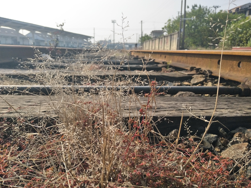 它有的不仅仅是双摄！vivoX9两周使用体验谈