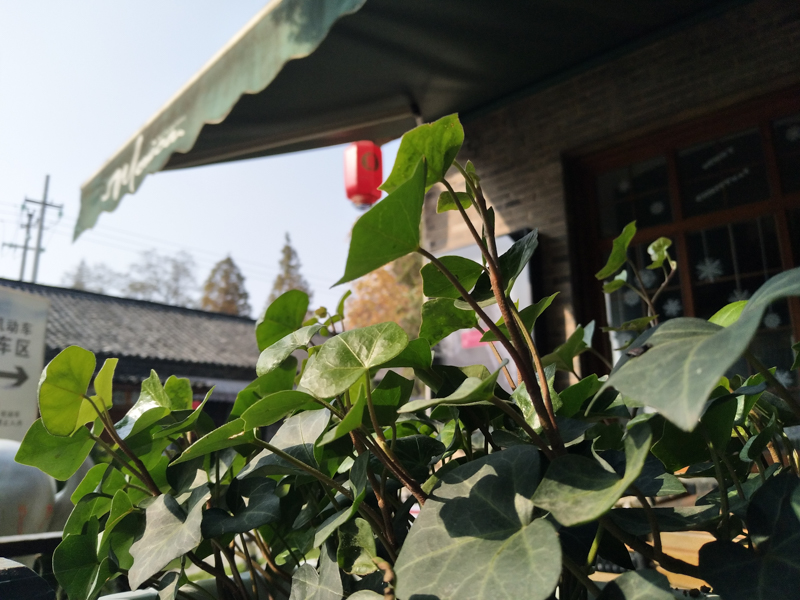 它有的不仅仅是双摄！vivoX9两周使用体验谈