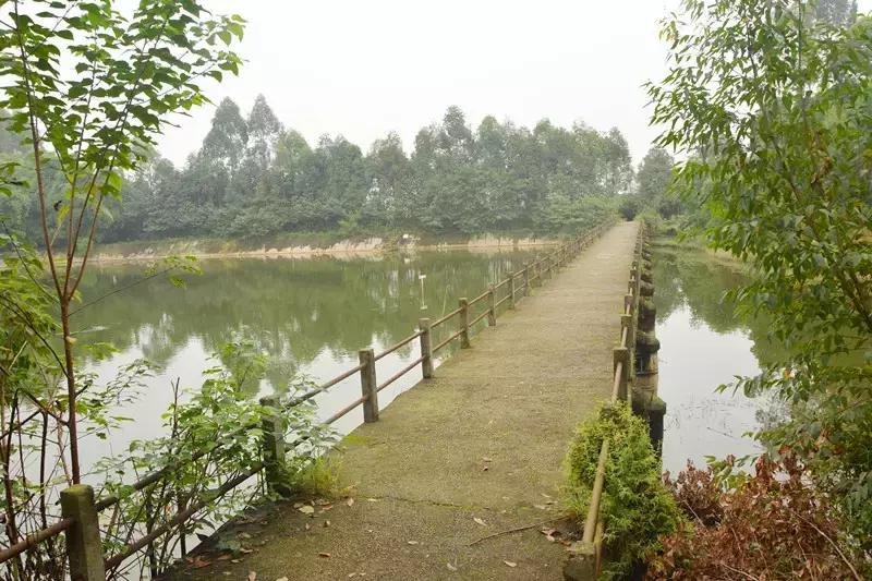 Hello！眉山车辆厂！只有东北人能看懂！