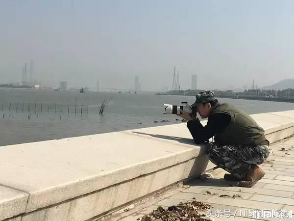 摄影大师汇集,摄影大师齐聚一堂