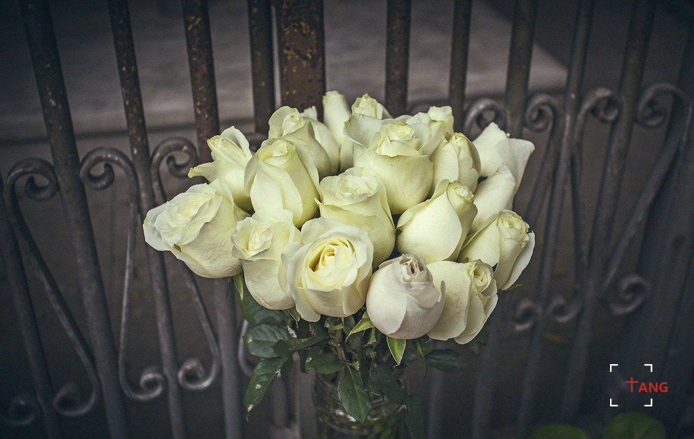 圣诞澳门攻略,圣诞去澳门