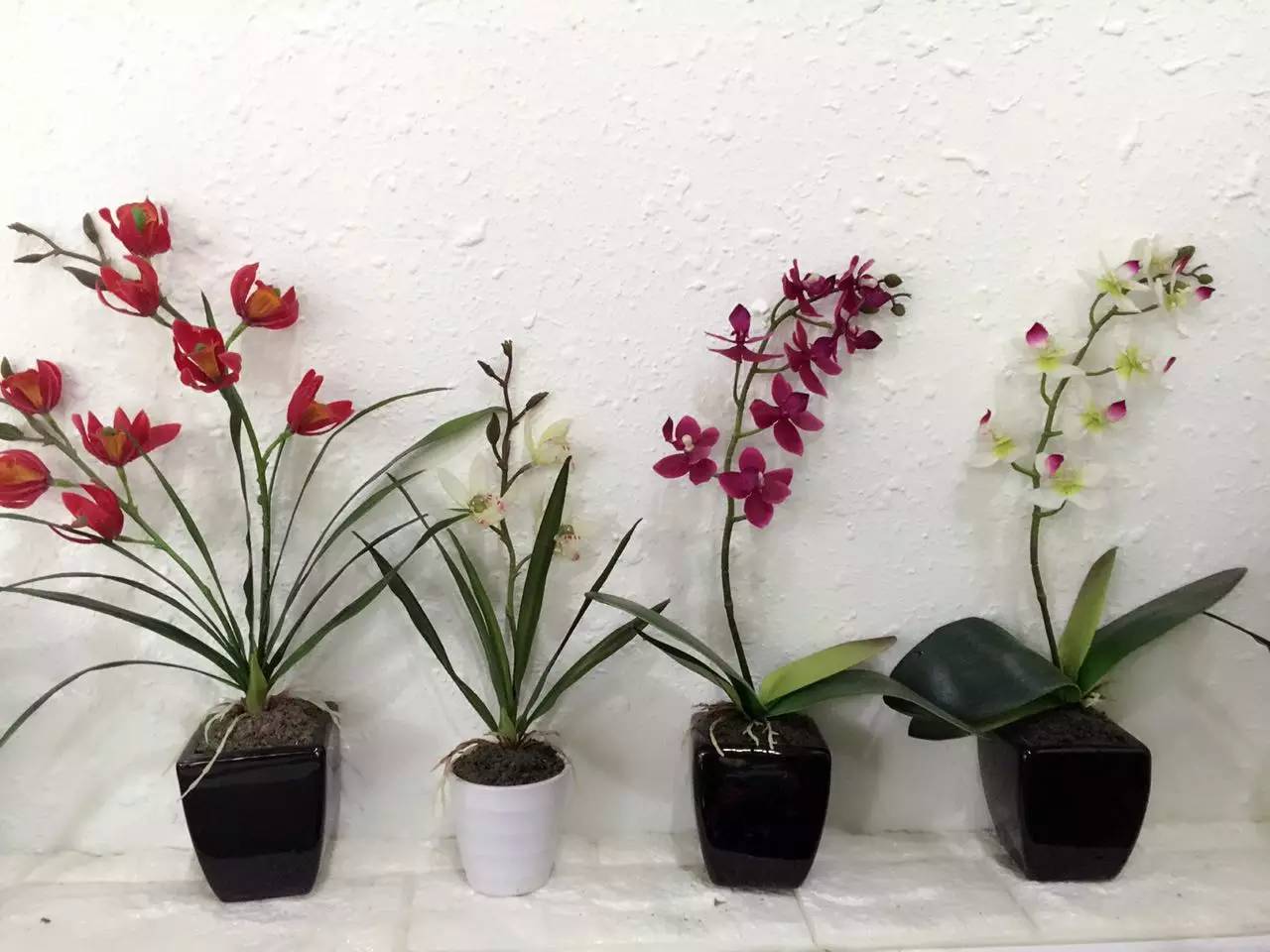 未闻花名每个人的想法,未闻花名每个人的愧疚是什么