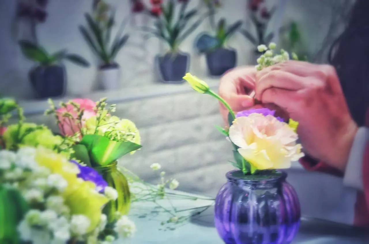 未闻花名每个人的想法,未闻花名每个人的愧疚是什么