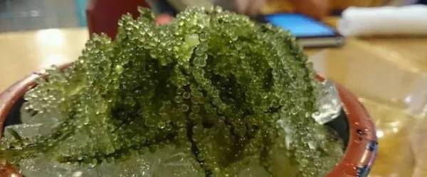 日本哪些值得购买的物品,日本的特产什么值得买