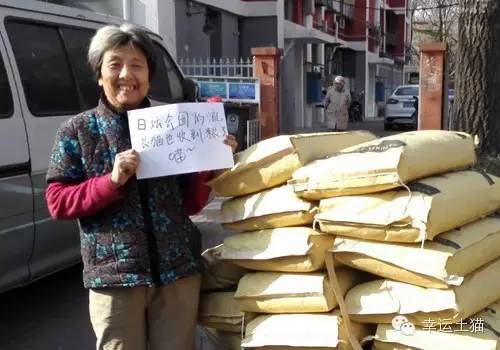 带喂了2年的流浪猫回家过年,公园里的流浪猫吃饱了