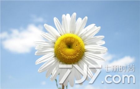 痔疮怎么治两种方法可治疗痔疮