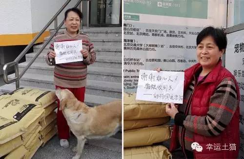 带喂了2年的流浪猫回家过年,公园里的流浪猫吃饱了