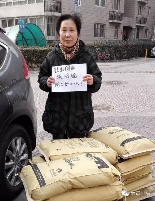 带喂了2年的流浪猫回家过年,公园里的流浪猫吃饱了