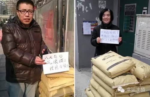 带喂了2年的流浪猫回家过年,公园里的流浪猫吃饱了