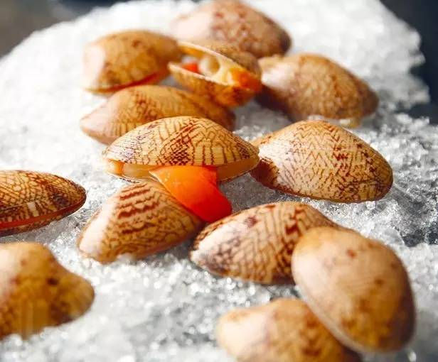 神奇火锅自助,神奇火锅日本