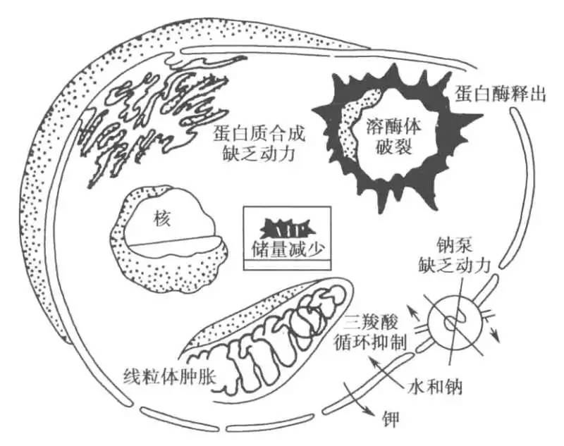 麻醉江湖烽烟再起，且看正邪双方如何决战“感染性休克”！