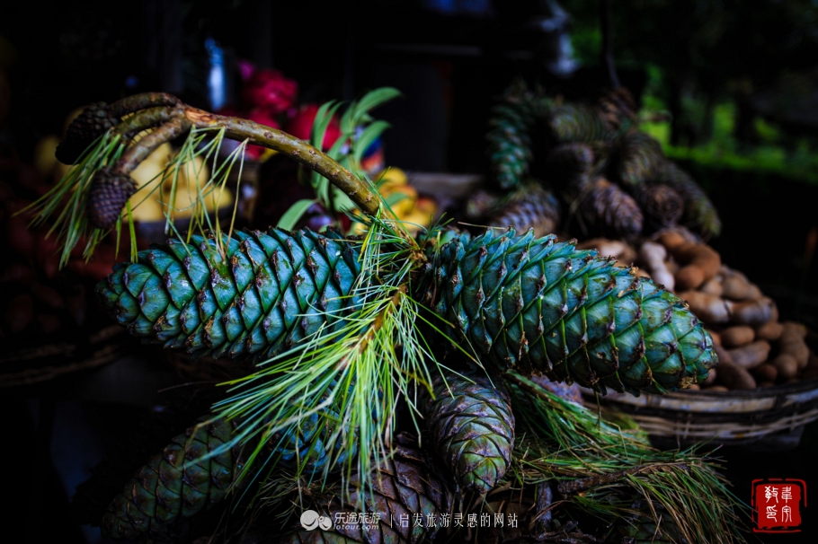 鑻嶅北淇,鑻嶅北淇灠涓嬪叧