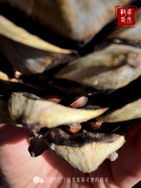 鑻嶅北淇,鑻嶅北淇灠涓嬪叧