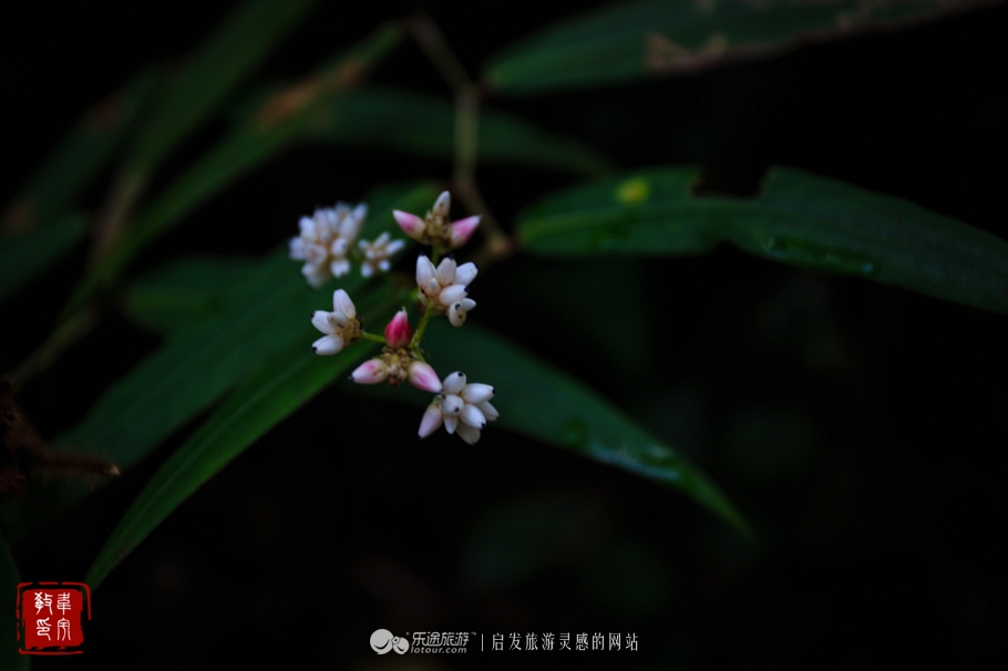 鑻嶅北淇,鑻嶅北淇灠涓嬪叧