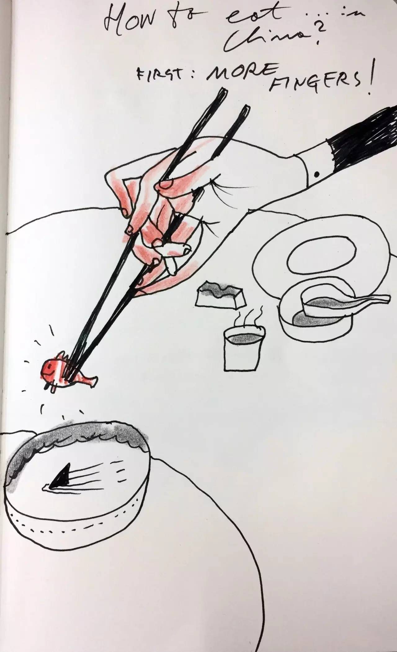 世界级大师薛蓝·约纳科维奇带你在小世界里寻找大世界