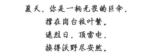 包头交警新闻最新,包头交警最新消息