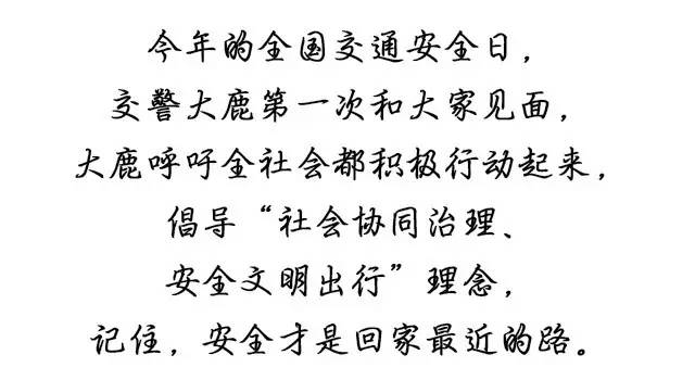 包头交警新闻最新,包头交警最新消息
