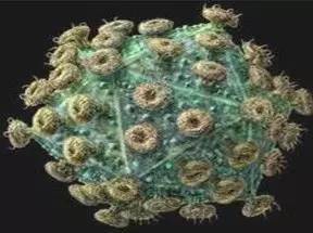 拒绝谈恋爱文字图片,拒绝谈恋爱图