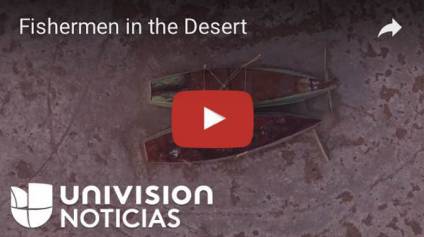 4大板块5种套路,这家西班牙视频网站火遍了美国