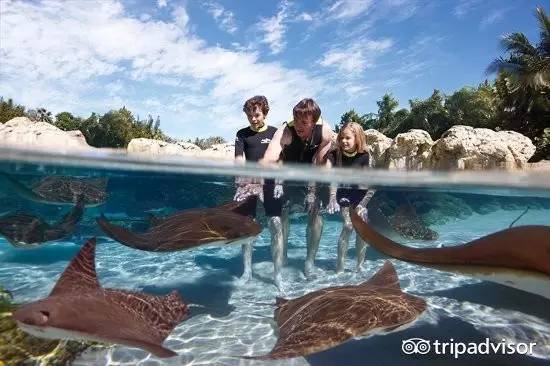 世界旅行者排行榜前十名,全球十大旅行者排名