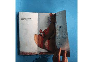 世界级大师薛蓝·约纳科维奇带你在小世界里寻找大世界