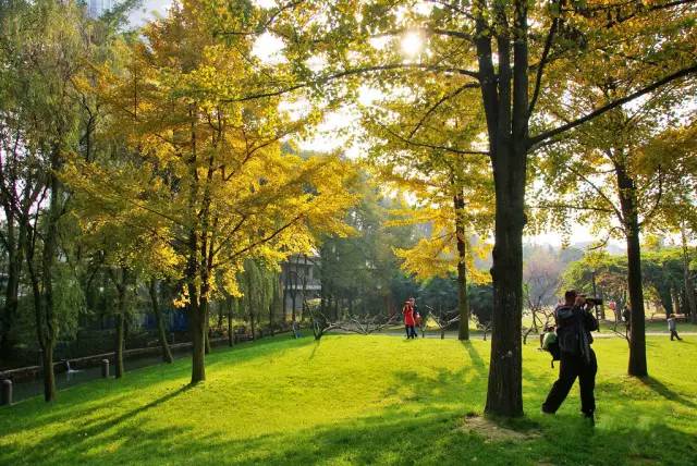 去温江有啥好玩的,夏季温江游玩景点有哪些