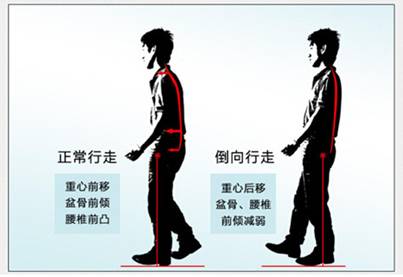 治疗腰疼倒着走管用吗,养生倒走路
