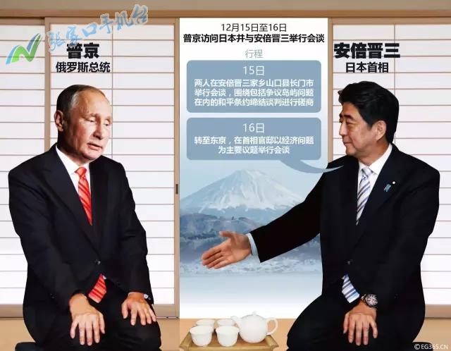 张家口新闻联播12月15日,张家口新闻报道频道