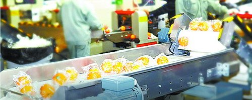 世界橙乡秭归,世界橙乡