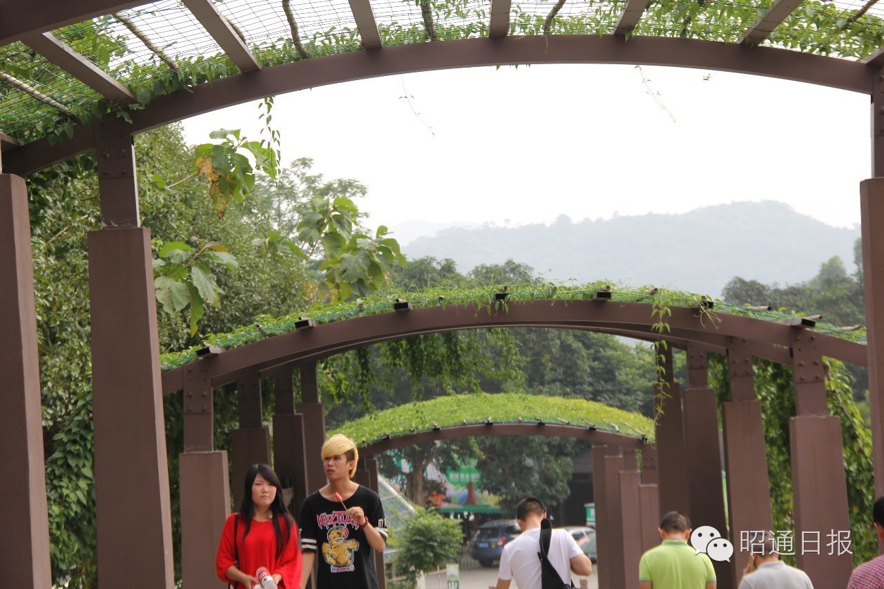 旅游收入破千亿,旅游收入过万亿的省市