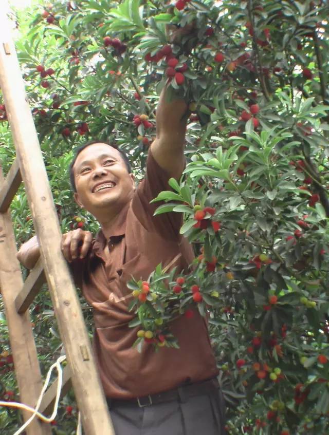 鹤城很美,鹤城好玩的