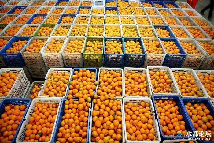 水都网友看农业感受水都新变化