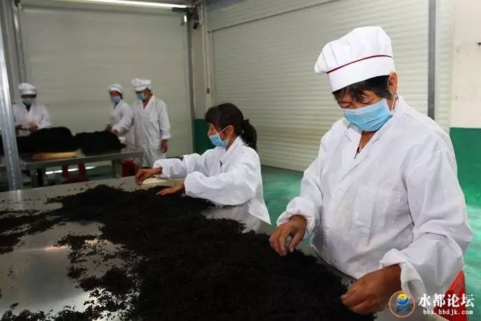 水都网友看农业感受水都新变化