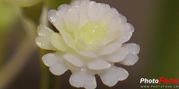 松下口袋相机lx10,松下lumixlx10长焦