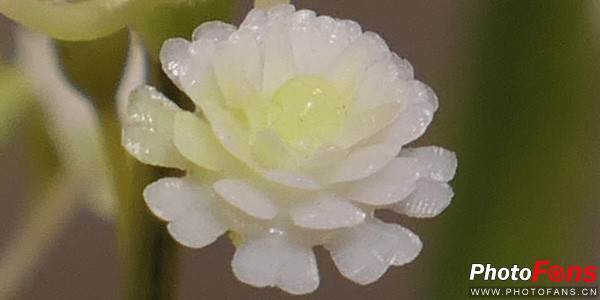 松下口袋相机lx10,松下lumixlx10长焦