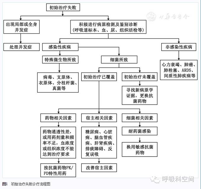 成人重症社区获得性肺炎诊断标准,社区获得性肺炎指南2020成人