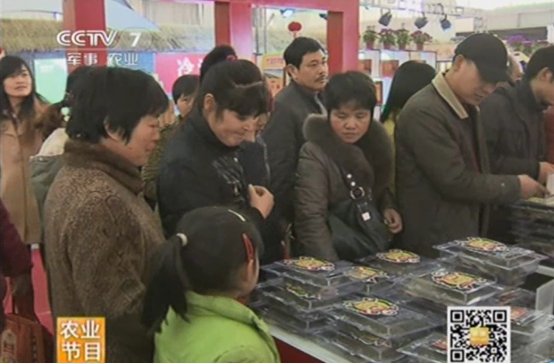 明凤甲鱼加盟多少钱,家喻户晓甲鱼品牌排行榜