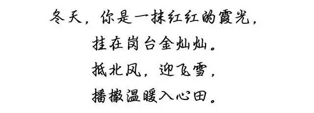 包头交警新闻最新,包头交警最新消息