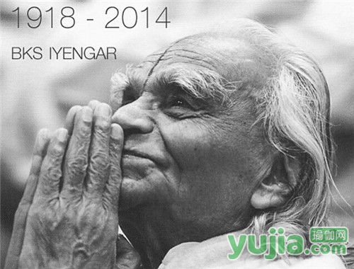 艾扬格23个经典瑜伽动作,艾扬格瑜伽之光在线阅读