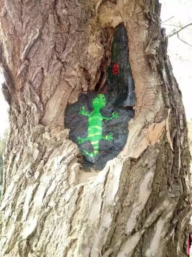 相山国家森林公园有什么好玩的,相山公园好玩吗