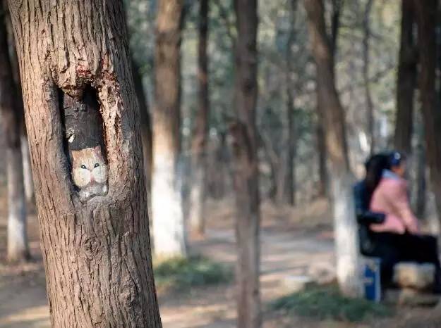 相山国家森林公园有什么好玩的,相山公园好玩吗