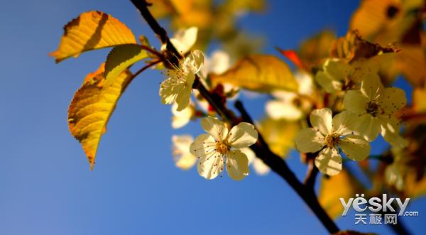 惠普23.8寸显示器测评,惠普23.8英寸显示器测评