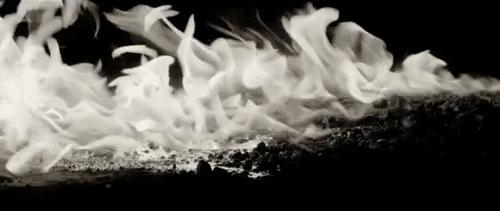 生命万岁vivalavida,vivalavida完整版