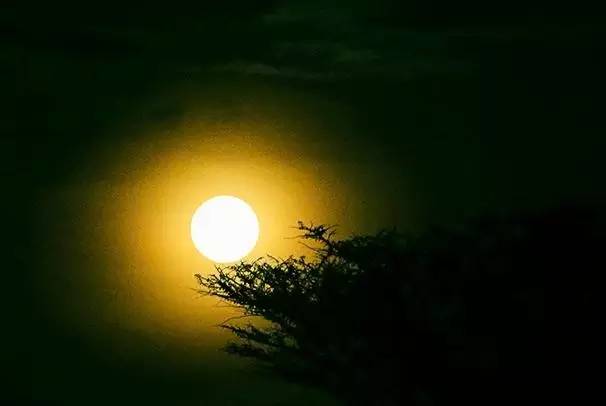 「词风雅韵」涧中石｜故人何在？一叶孤舟，烟水茫茫