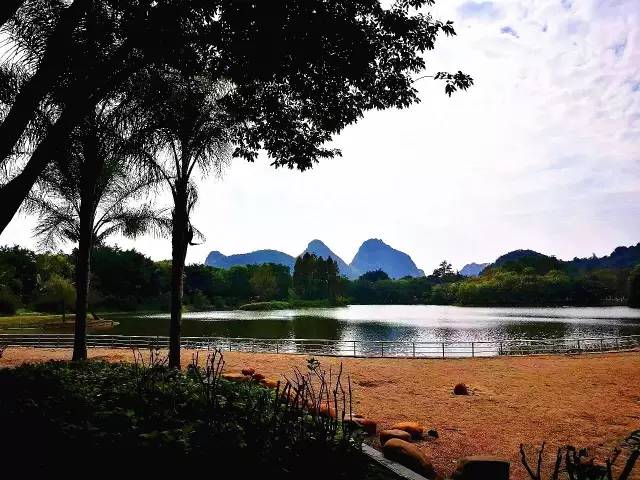 人工沙滩柳州,柳州金沙角人工海滩